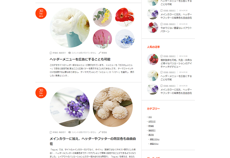 WordPress Theme Logue