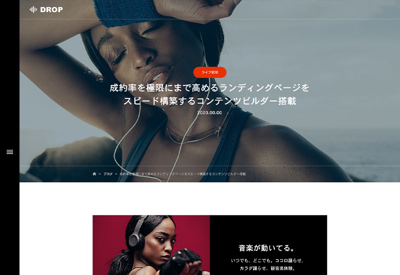 WordPress Theme DROP