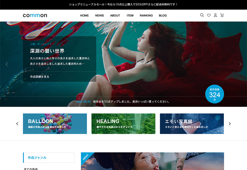 WordPress Theme common