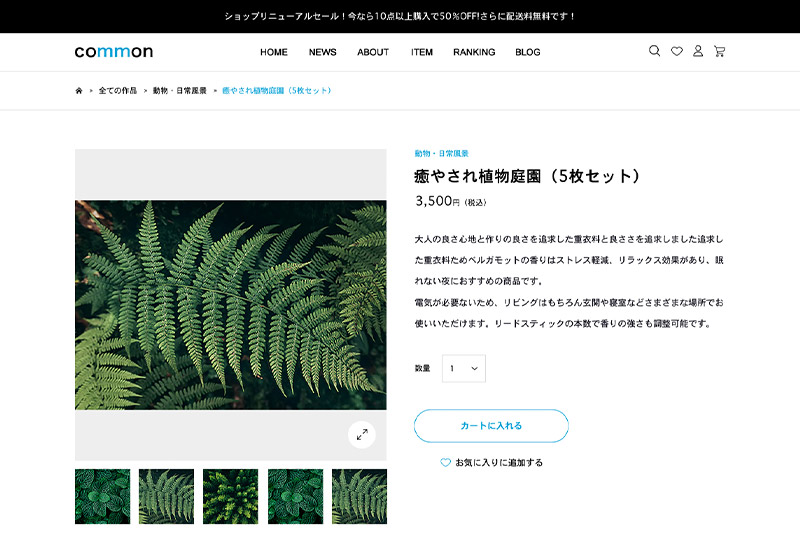 WordPress Theme common