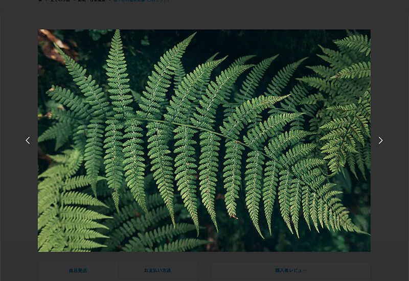 WordPress Theme common