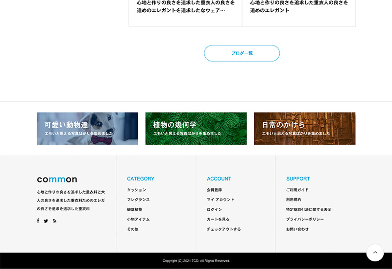 WordPress Theme common